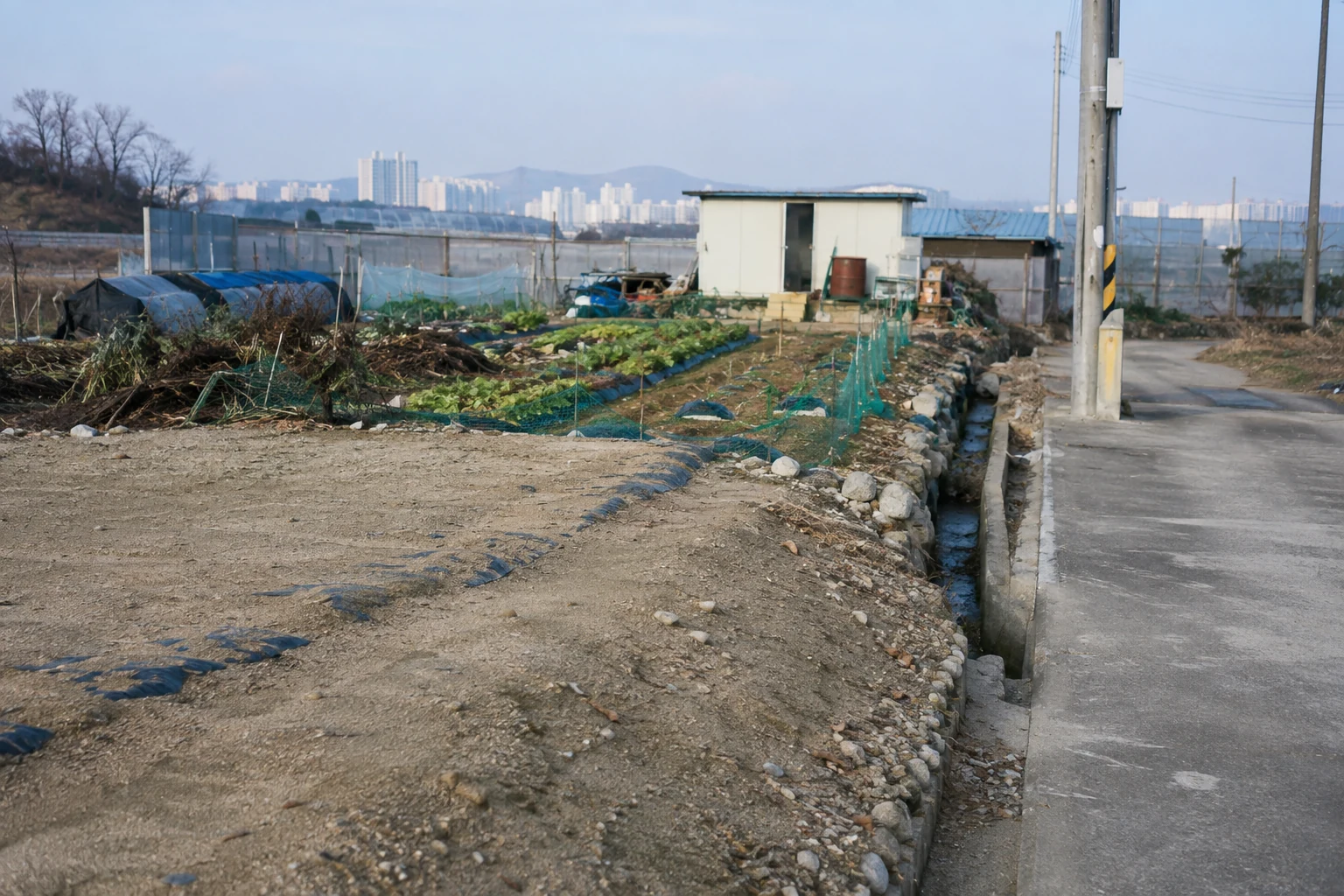 밭과 다져진 마당, 소형 시설물과 도로가 한 필지 주변에 함께 보이는 도시 외곽 토지